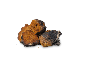 Bio Chaga Pulver