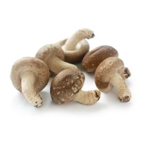 Bio Shiitake Pulver