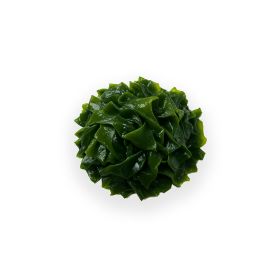 Bio Kelp Pulver