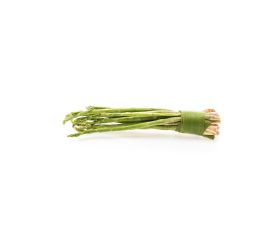 Asparagus racemosus Extrakt