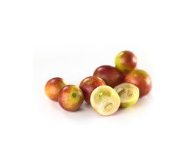 Camu Camu Powder